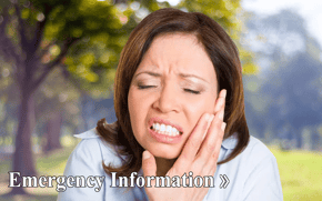 Emergency Dentist Information