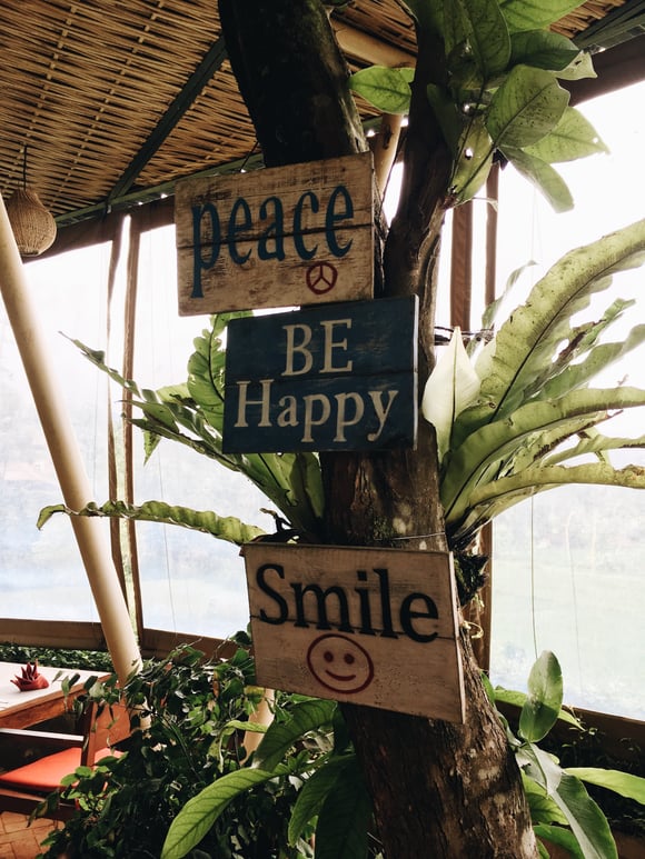 three-wooden-signage-in-a-tree-close-up-photography-2562560